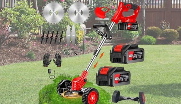 Rechargeable Electric Grass Trimmer Review: The 2-in-1 Edge Cutter for Every Garden
